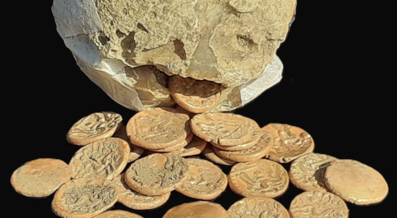 Пенсіонер за допомогою метолошукача знайшов рідкісні монети Пенсіонер за допомогою метолошукача знайшов рідкісні монети