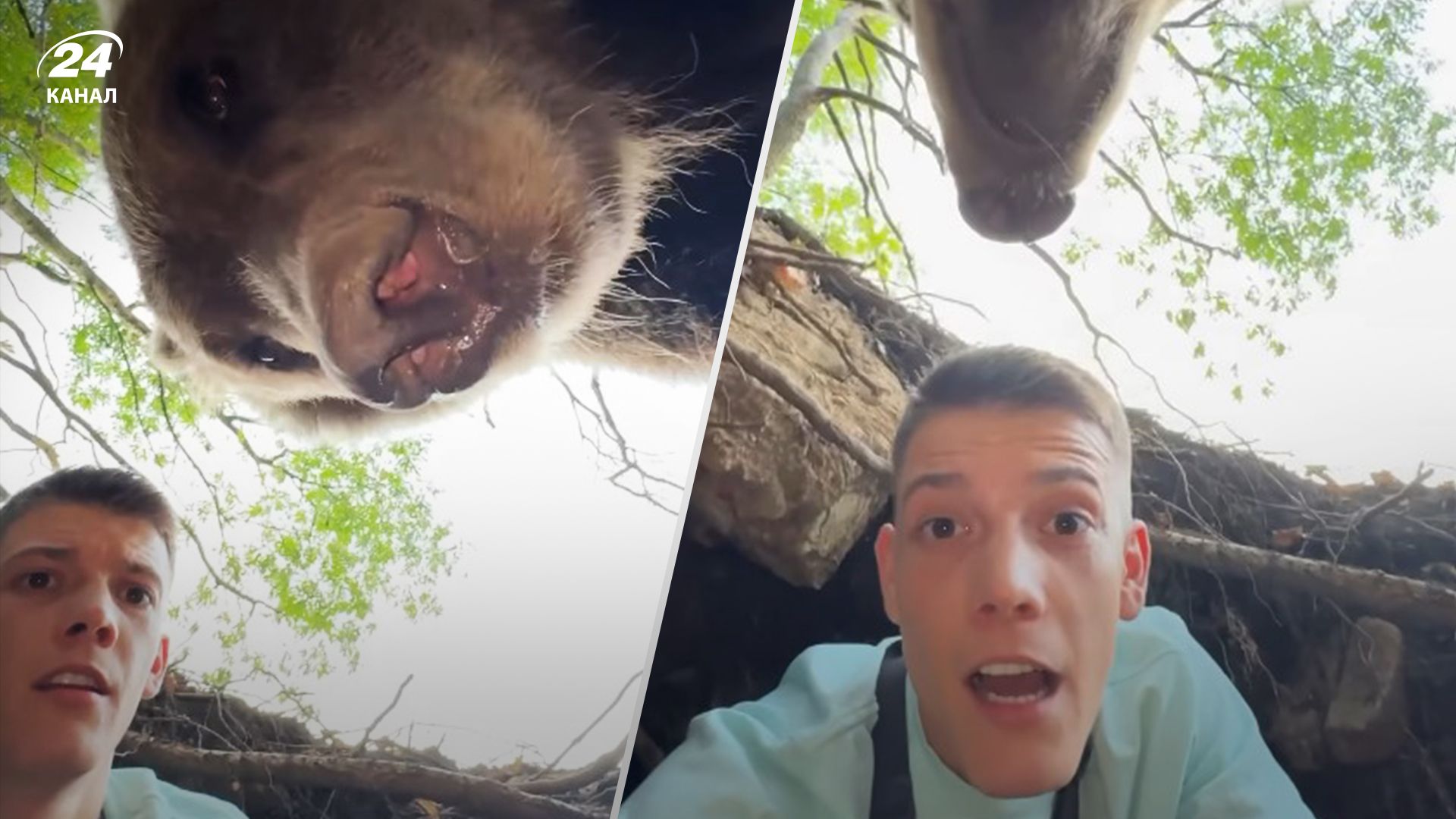 Блогер залез в берлогу и встретил медведя - курьезное видео Блогер залез в берлогу и встретил медведя - курьезное видео