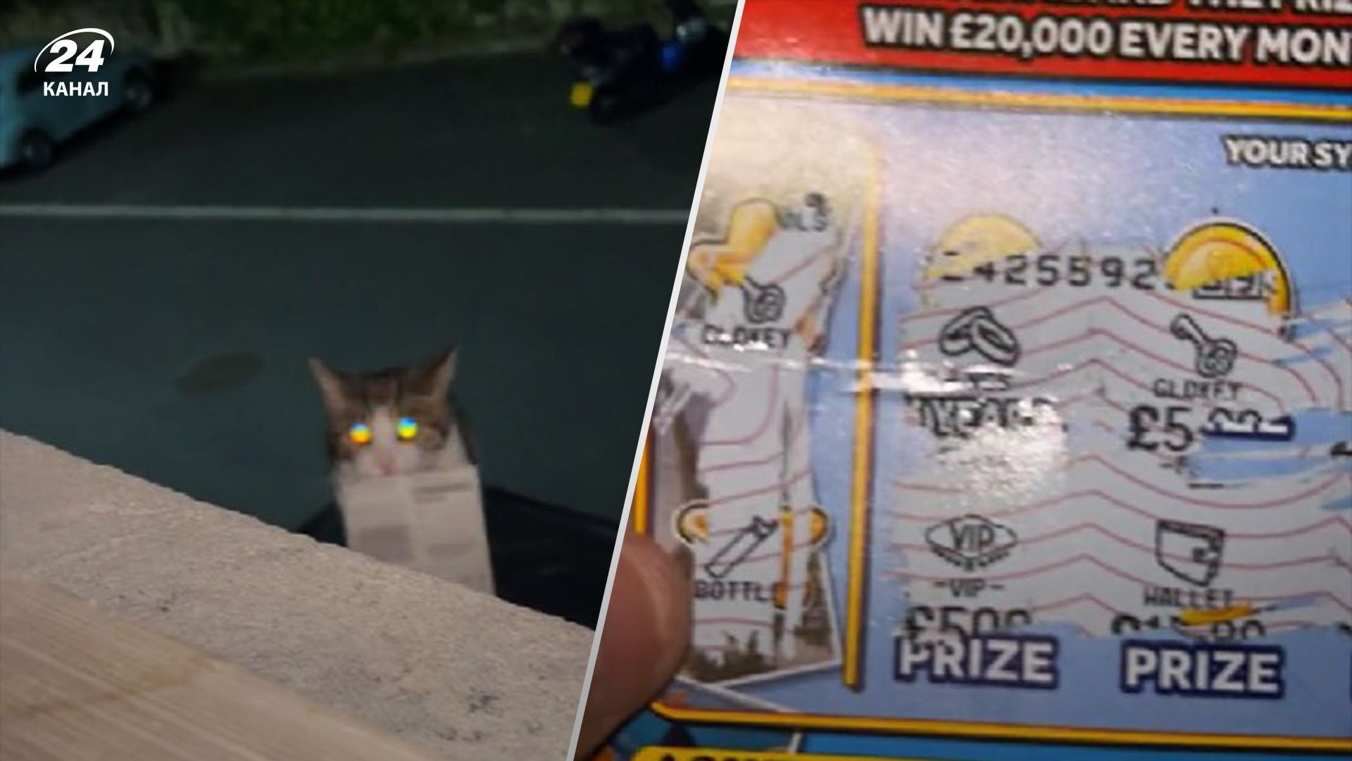 Кот принес владелице выигрышный лотерейный билет - сколько она выиграла Кот принес владелице выигрышный лотерейный билет - сколько она выиграла