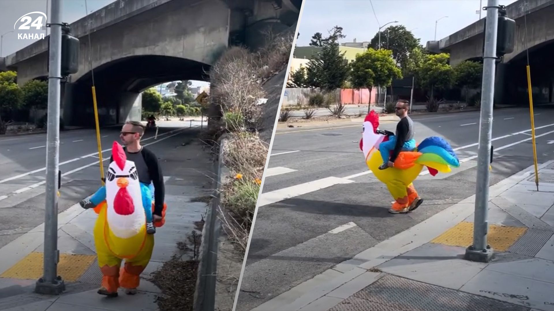 Поліцейський у костюмі півня ловив порушників ПДР - відео Поліцейський у костюмі півня ловив порушників ПДР - відео