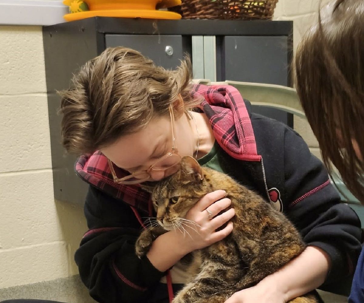 У США кішка повернулася до родини через 5 років У США кішка повернулася до родини через 5 років