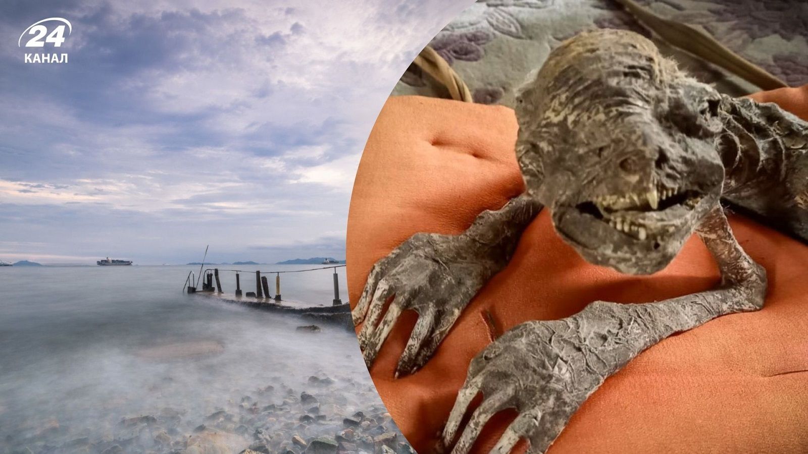 Мумию русалки нашли в заброшенном доме в Японии