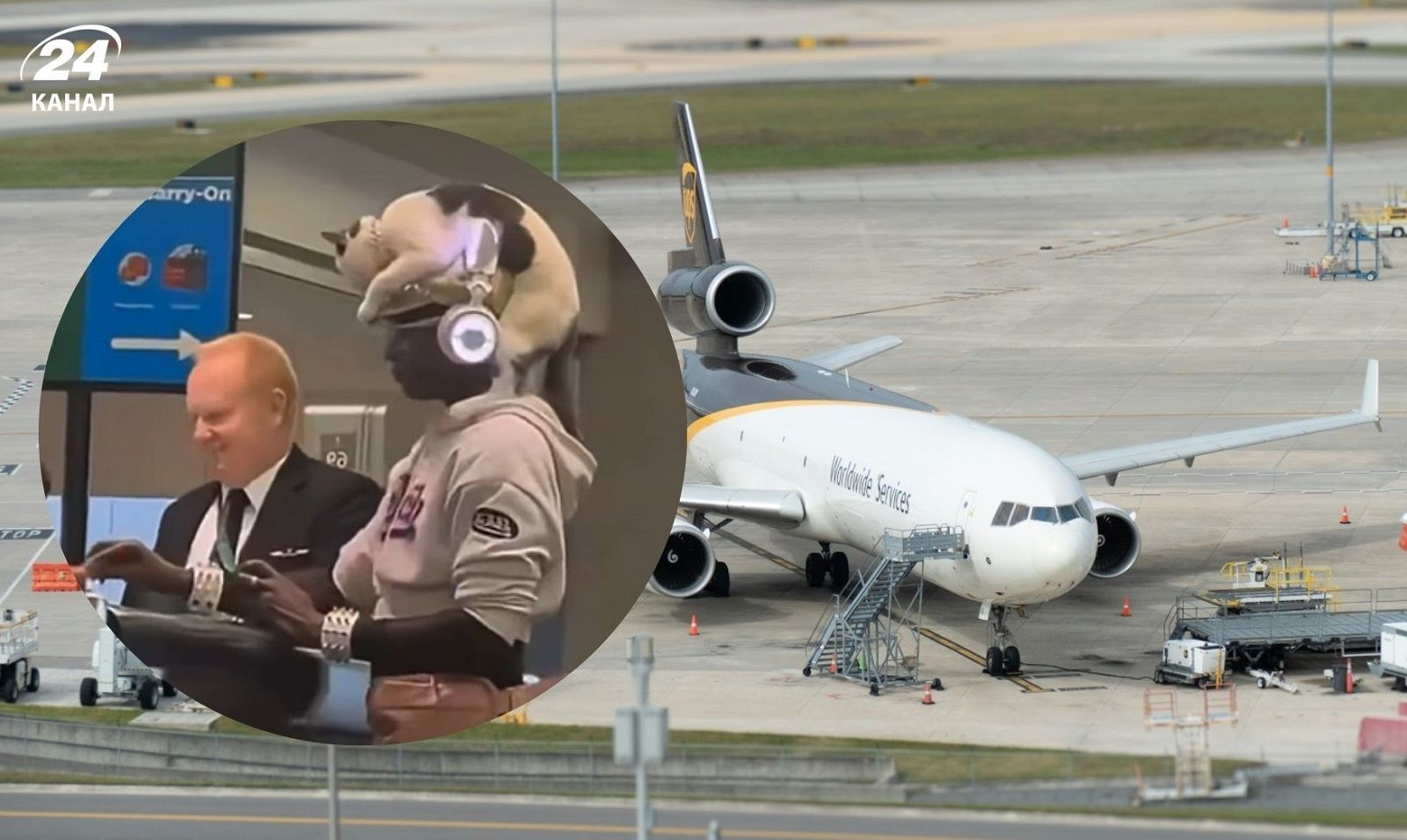 В аеропорту США помітили жінку з котом на голові