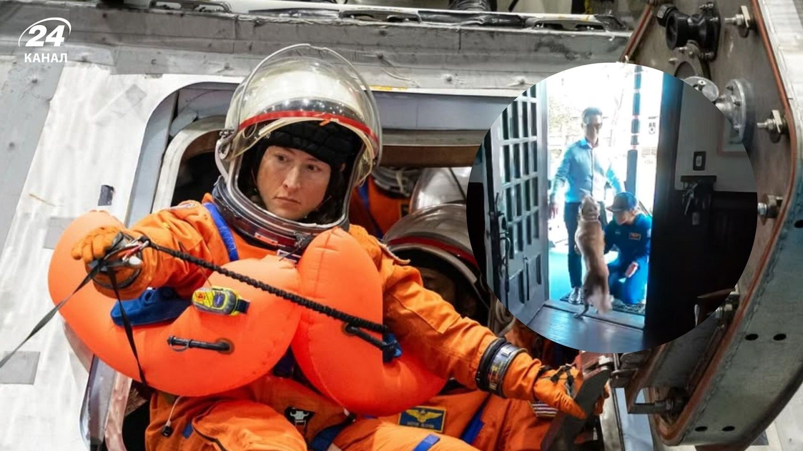 Астронавтка миссии Artemis II встретилась со своей собакой Астронавтка миссии Artemis II встретилась со своей собакой