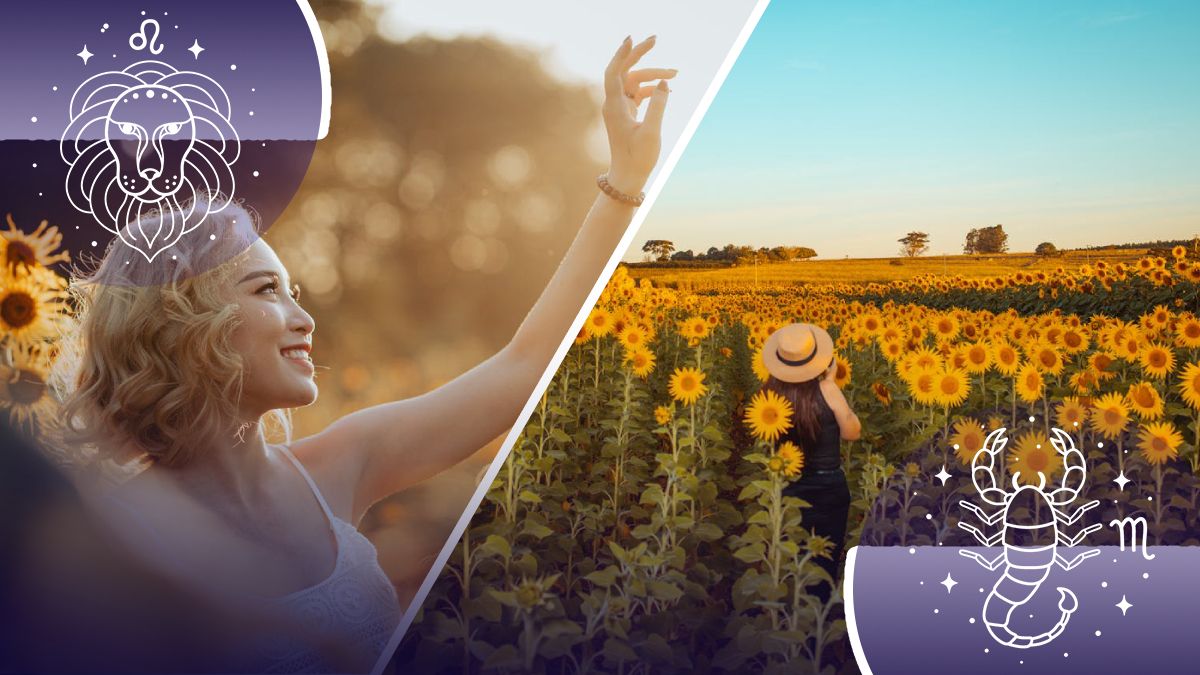 5 знаков зодиака входят в положительный период