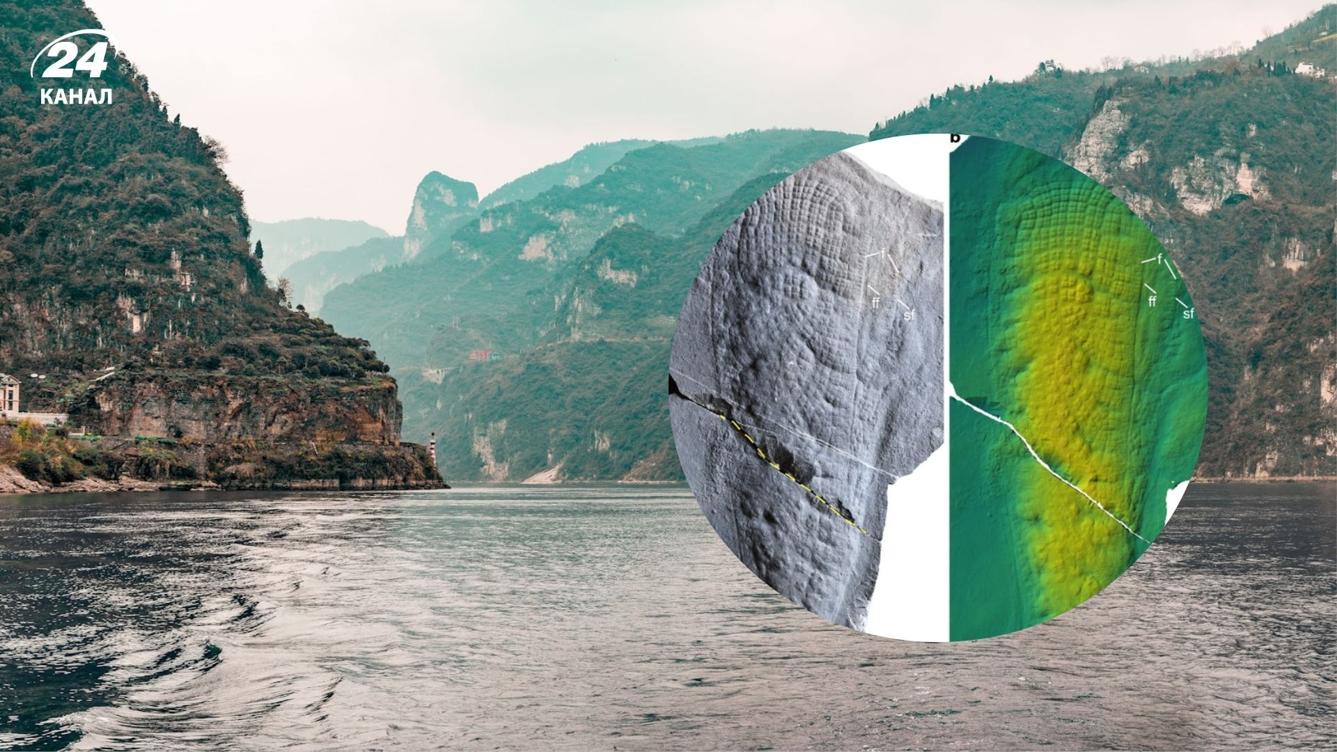 На березі Янцзи знайшли унікальну скам’янілість губки На березі Янцзи знайшли унікальну скам’янілість губки