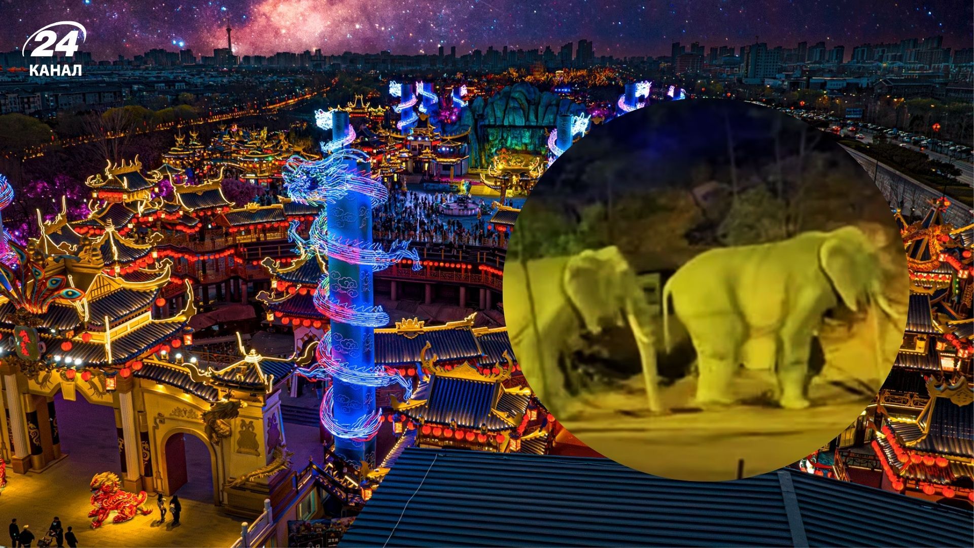 У тематичному парку Китая людей видавали за слонів 