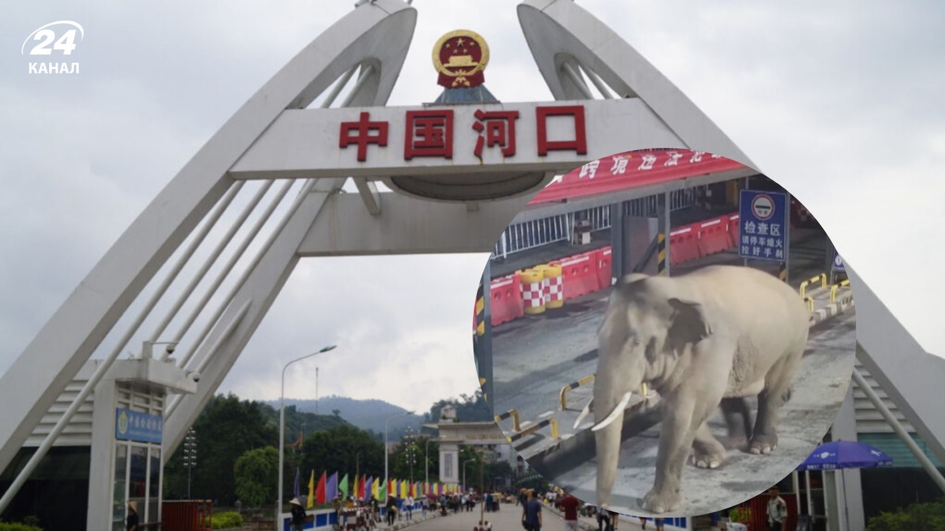У Китаї прикордонники зафіксували слона на пункті пропуску 