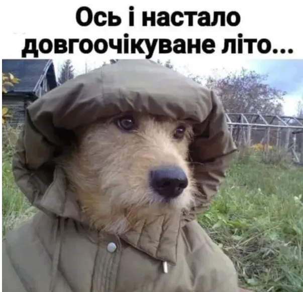 Меми про літо та погоду