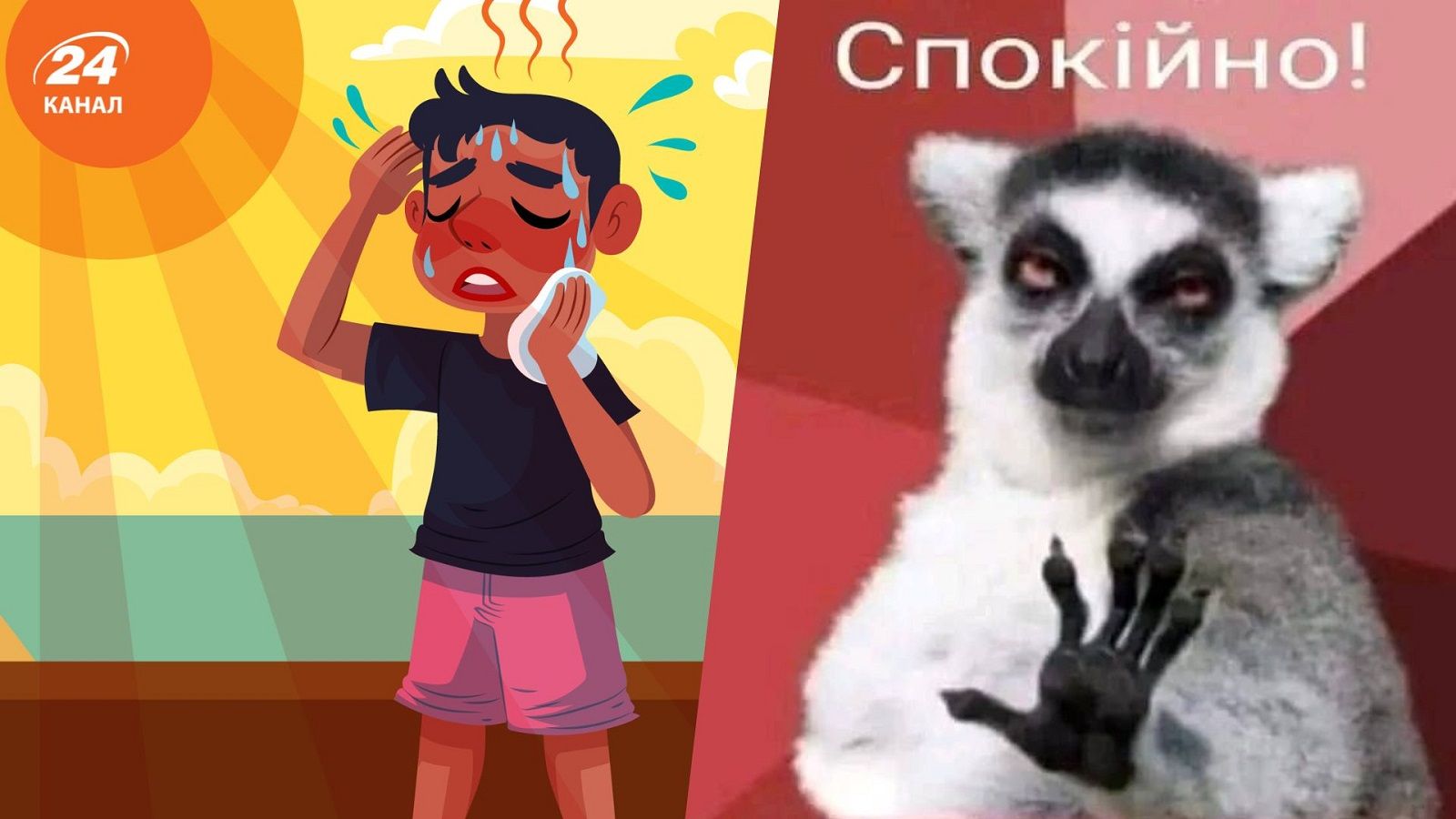 Меми про літо та спеку Меми про літо та спеку