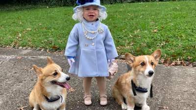 Крихітна копія: дівчинка у костюмі Єлизавети ІІ отримала реакцію з королівського замку 